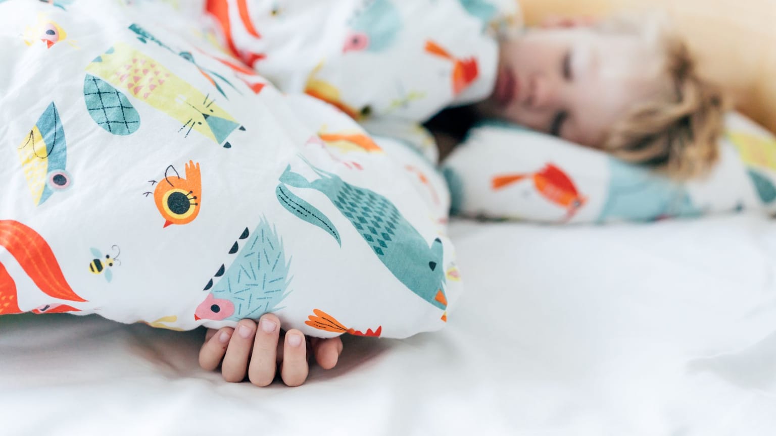 Como criar mantas e cobertores infantis personalizados